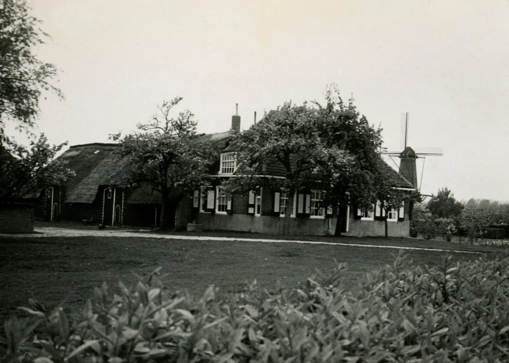 De boerderij achter de fruitbomen