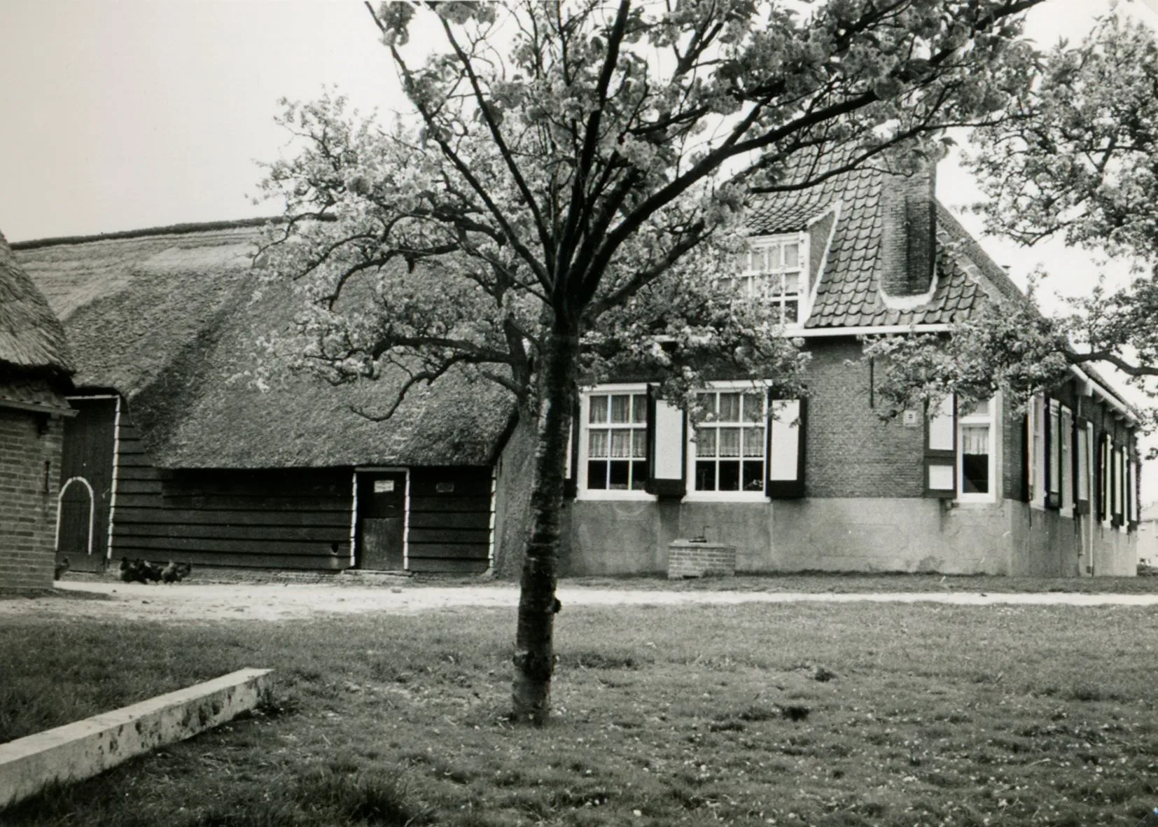 De mendeuren en het rieten dak van de schuur
