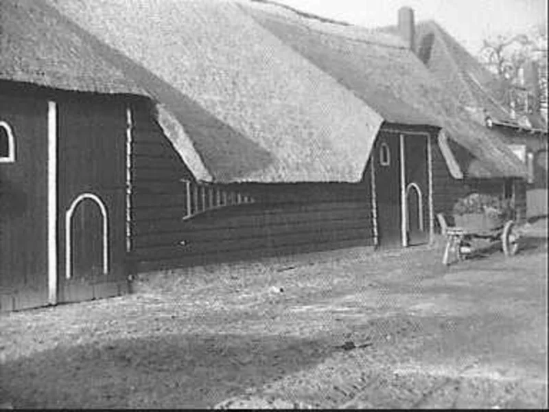 De boerderij onder haar rieten dak met de molen op de achtergrond