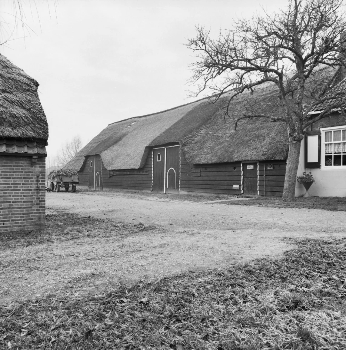 Het Noorderend in Heinkenszand op een oude foto